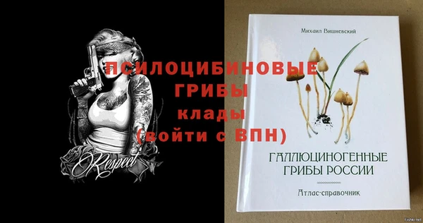 Альфа ПВП Осташков