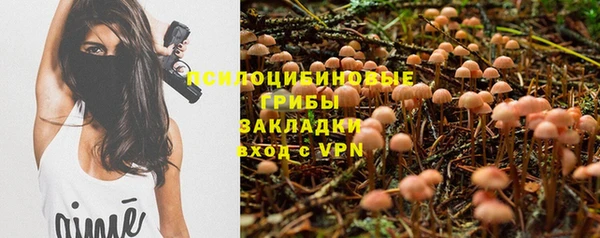 прущий лед Осинники