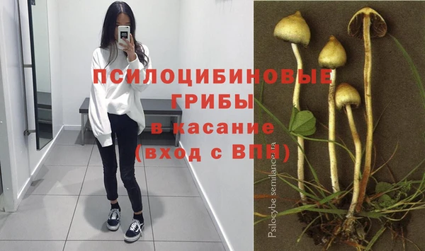 прущий лед Осинники