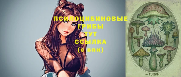 Альфа ПВП Осташков