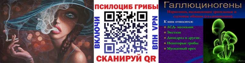 Галлюциногенные грибы прущие грибы  Тихорецк 